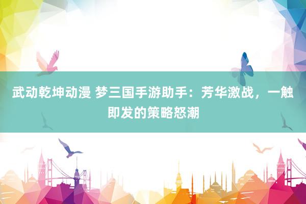 武动乾坤动漫 梦三国手游助手：芳华激战，一触即发的策略怒潮