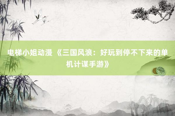 电梯小姐动漫 《三国风浪：好玩到停不下来的单机计谋手游》