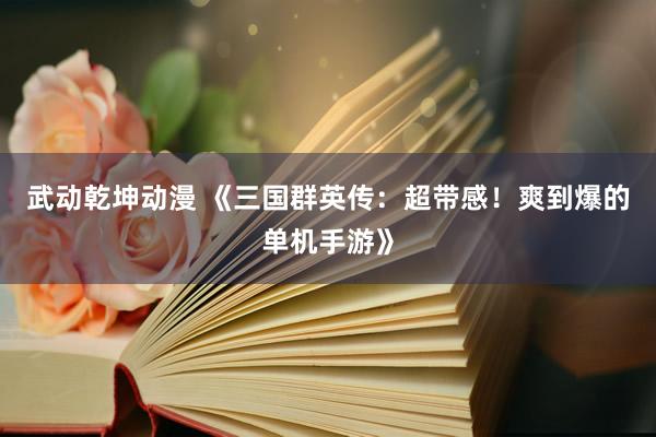 武动乾坤动漫 《三国群英传：超带感！爽到爆的单机手游》