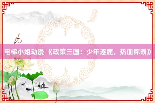 电梯小姐动漫 《政策三国：少年逐鹿，热血称霸》