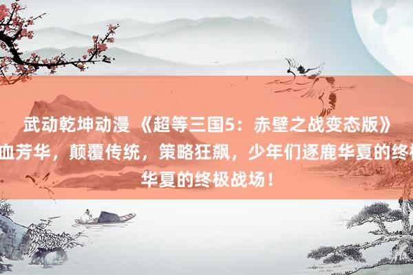 武动乾坤动漫 《超等三国5：赤壁之战变态版》引爆热血芳华，颠覆传统，策略狂飙，少年们逐鹿华夏的终极战场！
