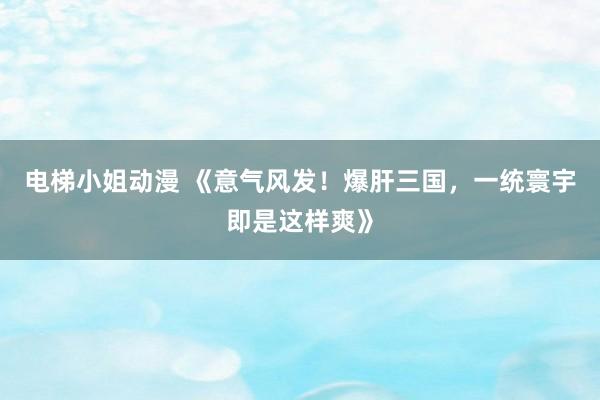 电梯小姐动漫 《意气风发！爆肝三国，一统寰宇即是这样爽》