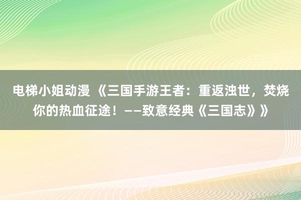 电梯小姐动漫 《三国手游王者：重返浊世，焚烧你的热血征途！——致意经典《三国志》》
